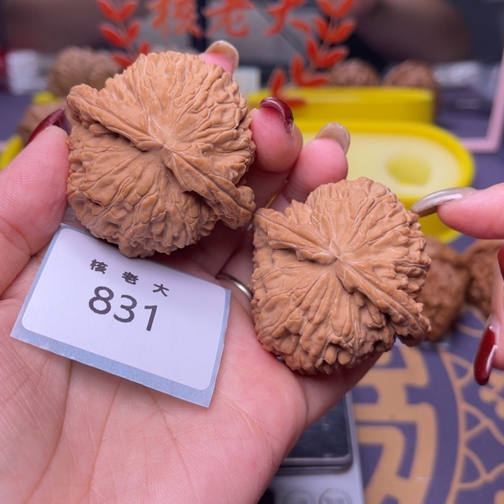 文玩核桃把件白狮子48.831