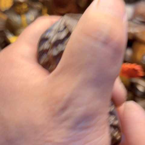 直播间专属链接点击下单即可