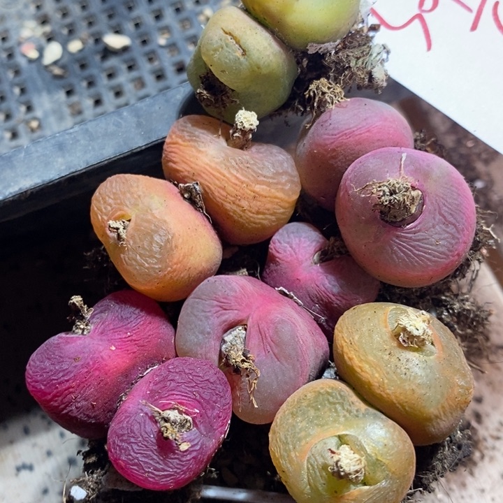 30128一组一组一组