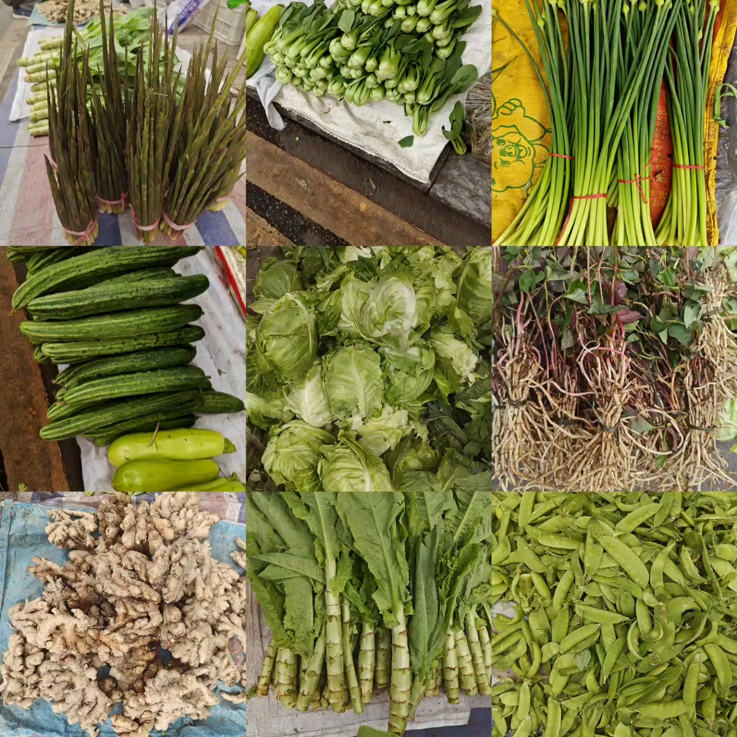 【麻阳甄优选】【合集】新鲜时蔬