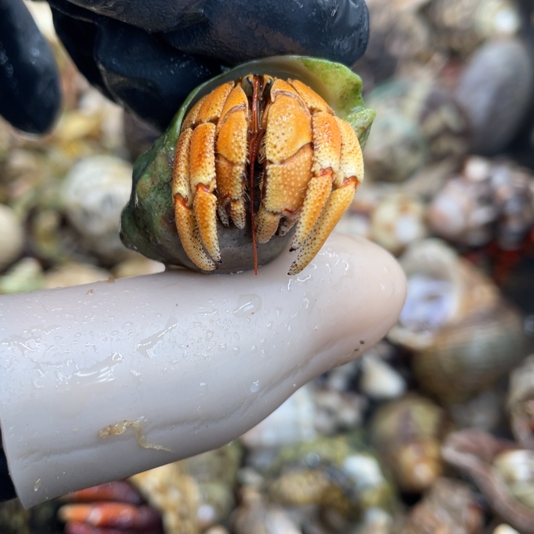 的风雨交加家家户户v发洒水车j姐姐家