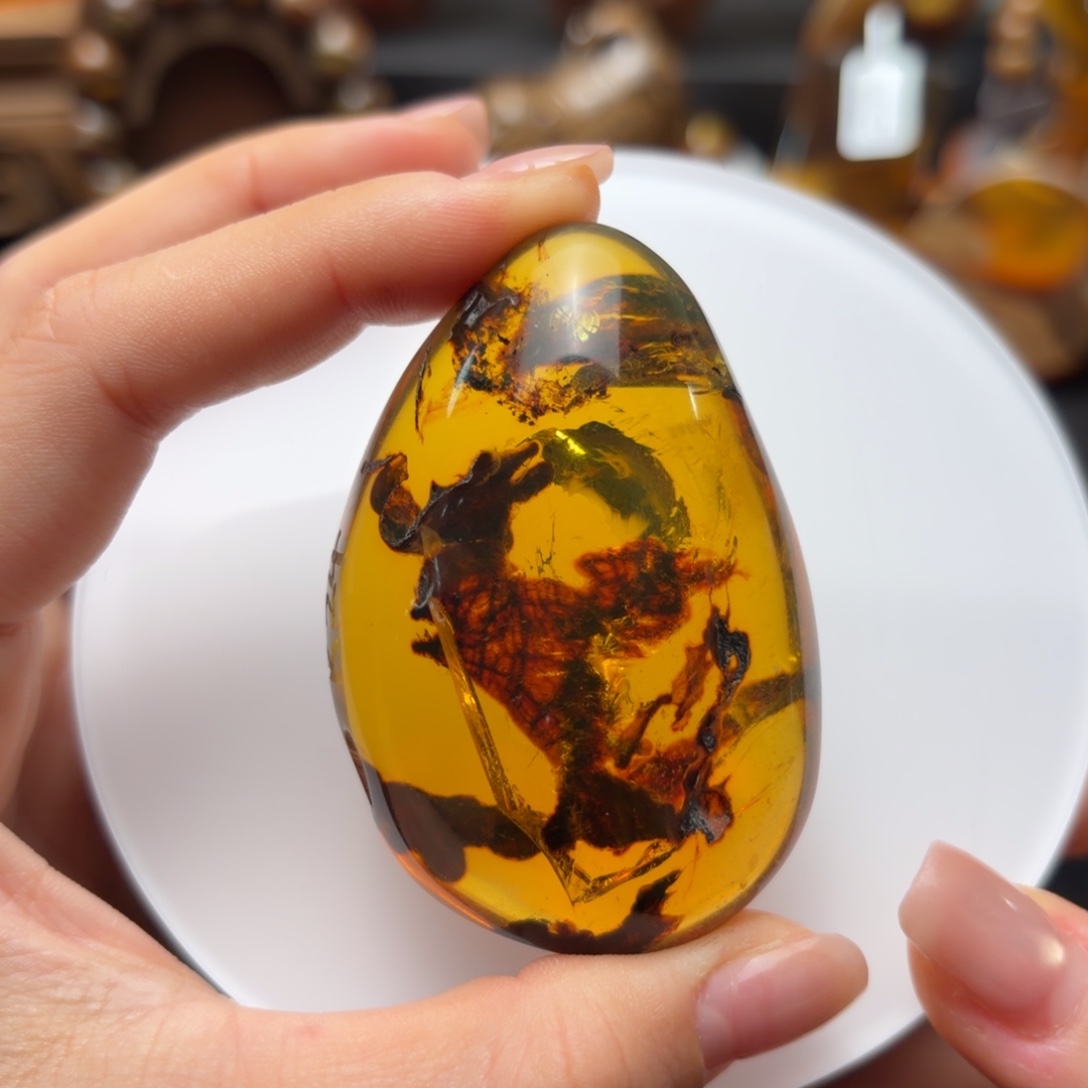 定制琥珀红茶变色植物意境随形