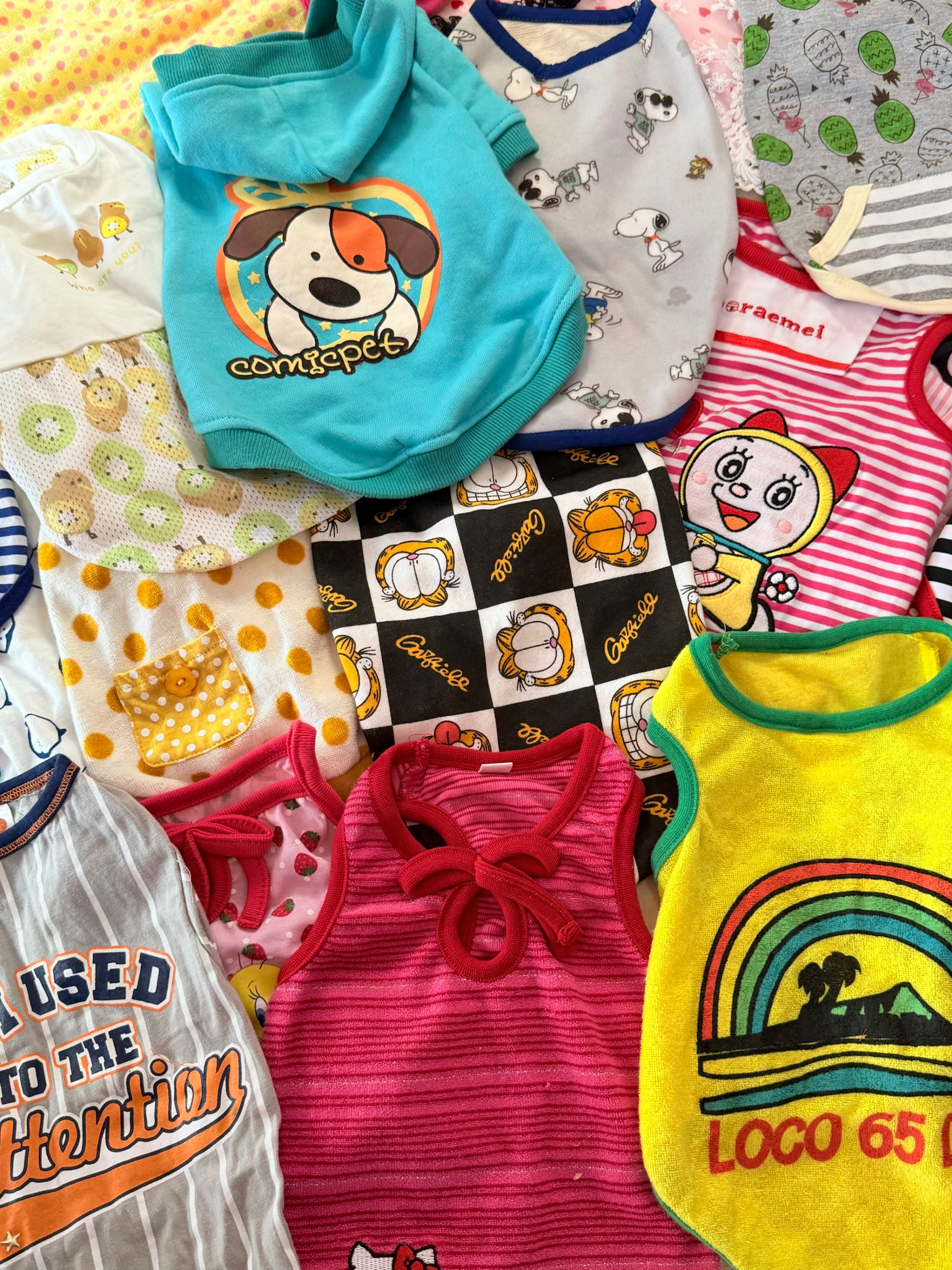 宠物春夏秋冬服饰 NO退NO换 