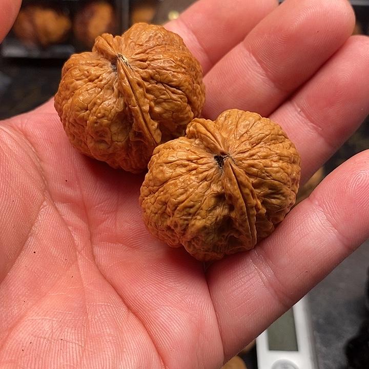 文玩核桃吊坠练手对