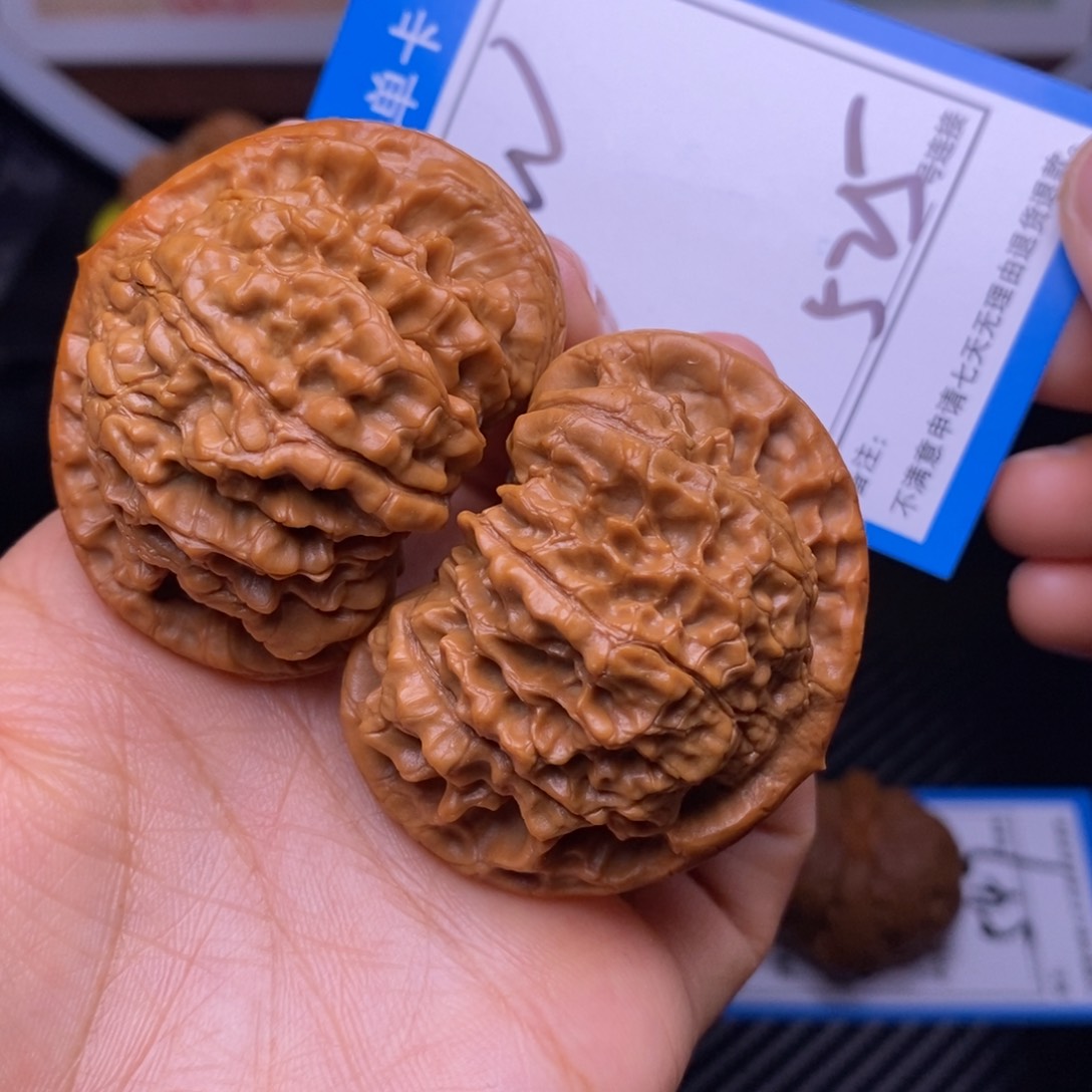 文玩核桃把件51矮桩官帽525号