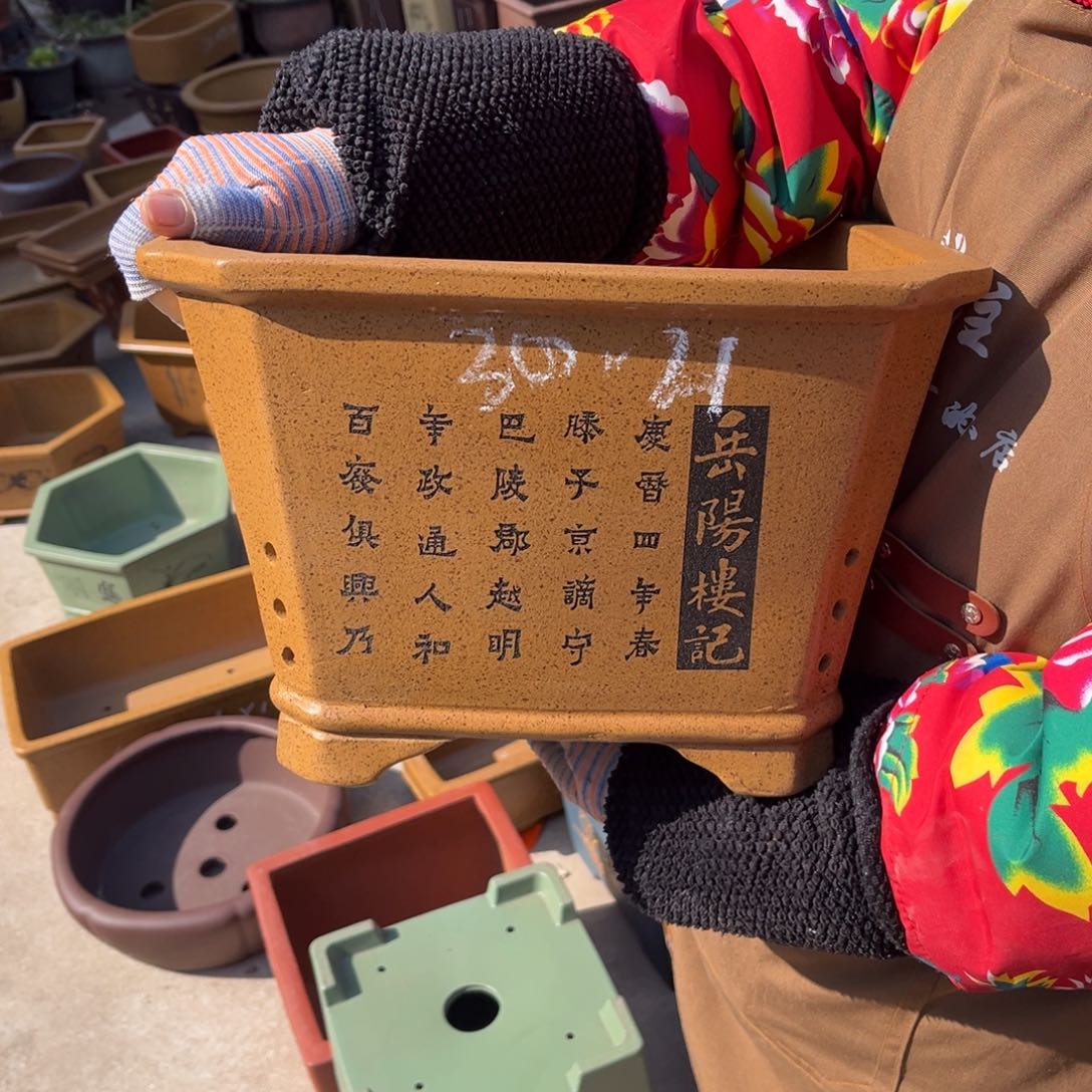 紫砂花盆盆景艺术