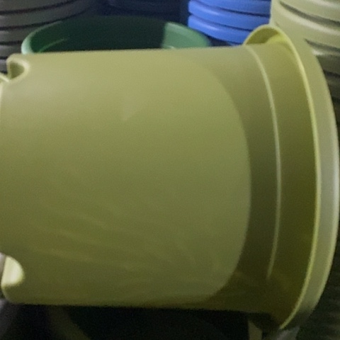 树脂四季5号微瑕果绿无托6个