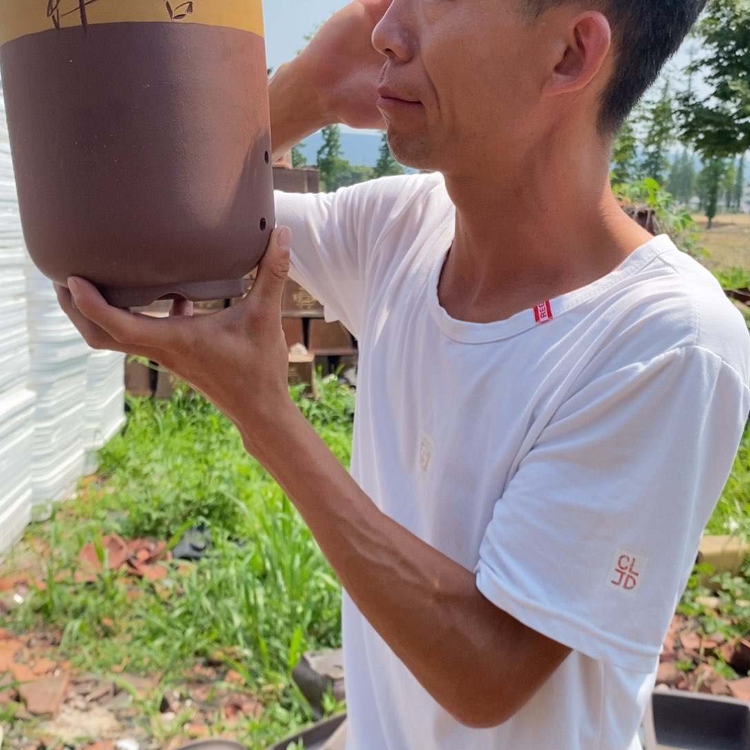 紫砂花盆紫砂壶的时候我就