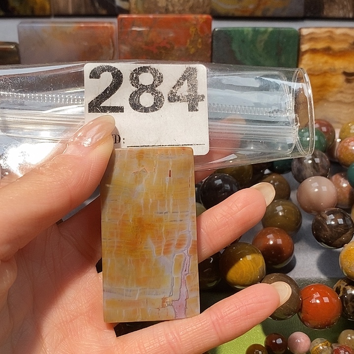 硅化玉未镶嵌天然北票树化玉吊坠