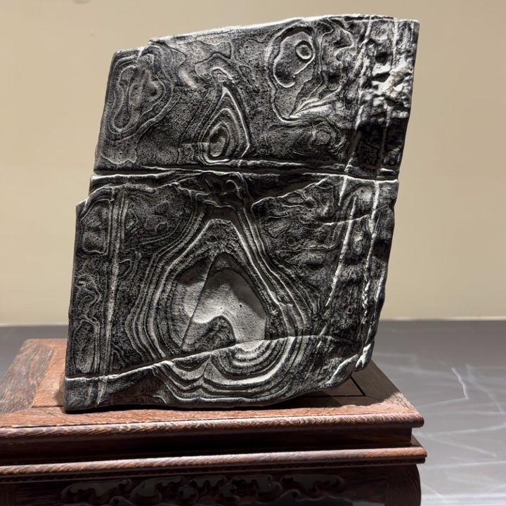 c***r香榧木石头啊啊啊啊啊