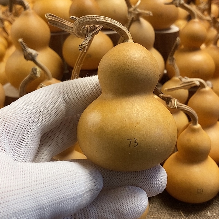 文玩葫芦 完美主义者 慎拍73