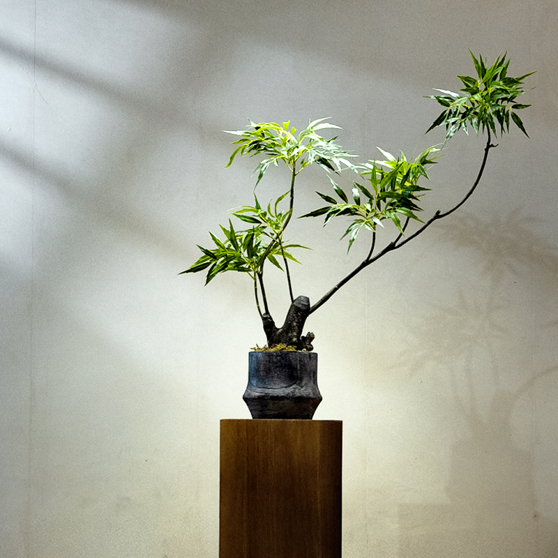 海虹景品十大功劳假花高端轻奢新中式茶室装饰禅意玄关摆件小盆景