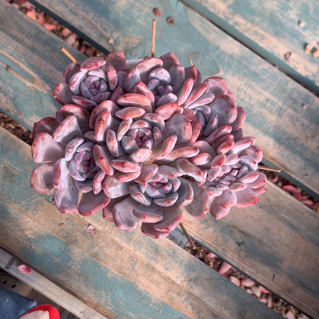 哈哈哈哈哈哈哈哈3