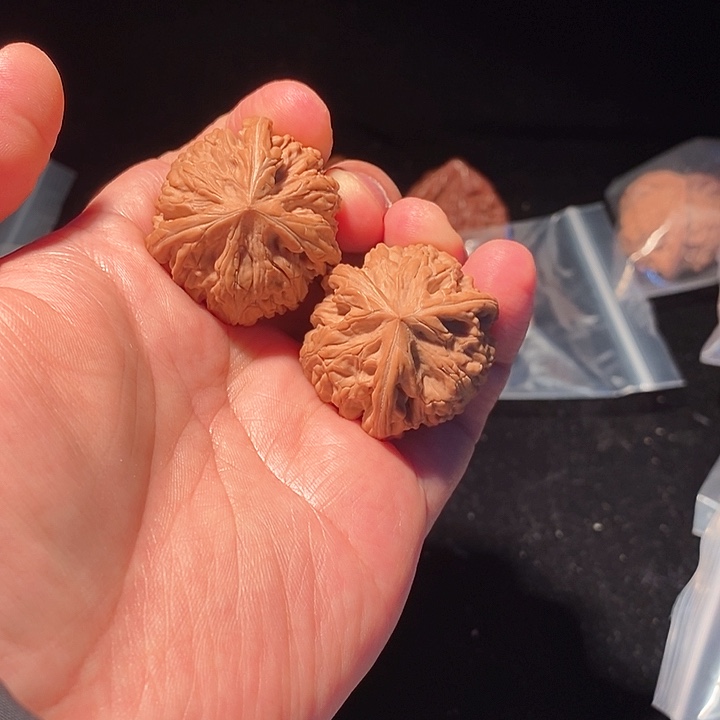 御龙粗筋正球奔精品