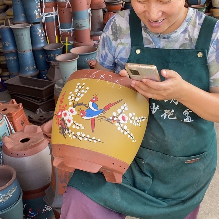 紫砂花盆紫砂花盆盆栽