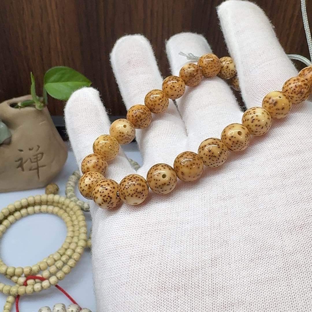 星月菩提吊坠婷给1号车库的人