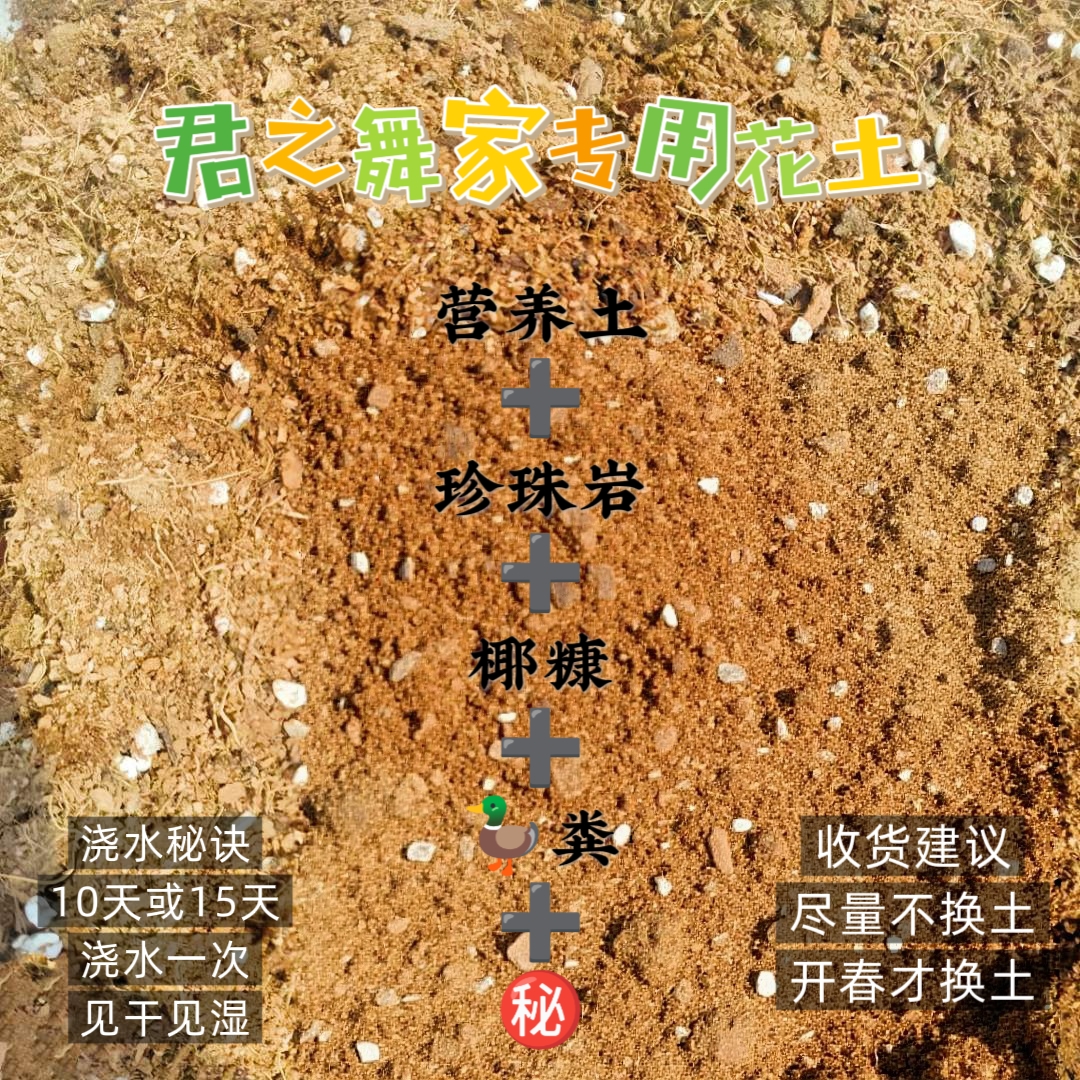 君之舞家专用营养土花土疏松透气保根伴有农机肥（养花通用型）