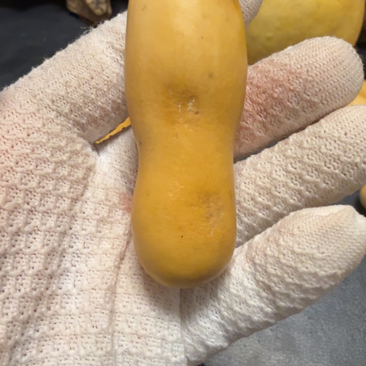 @***二66666666666667777777