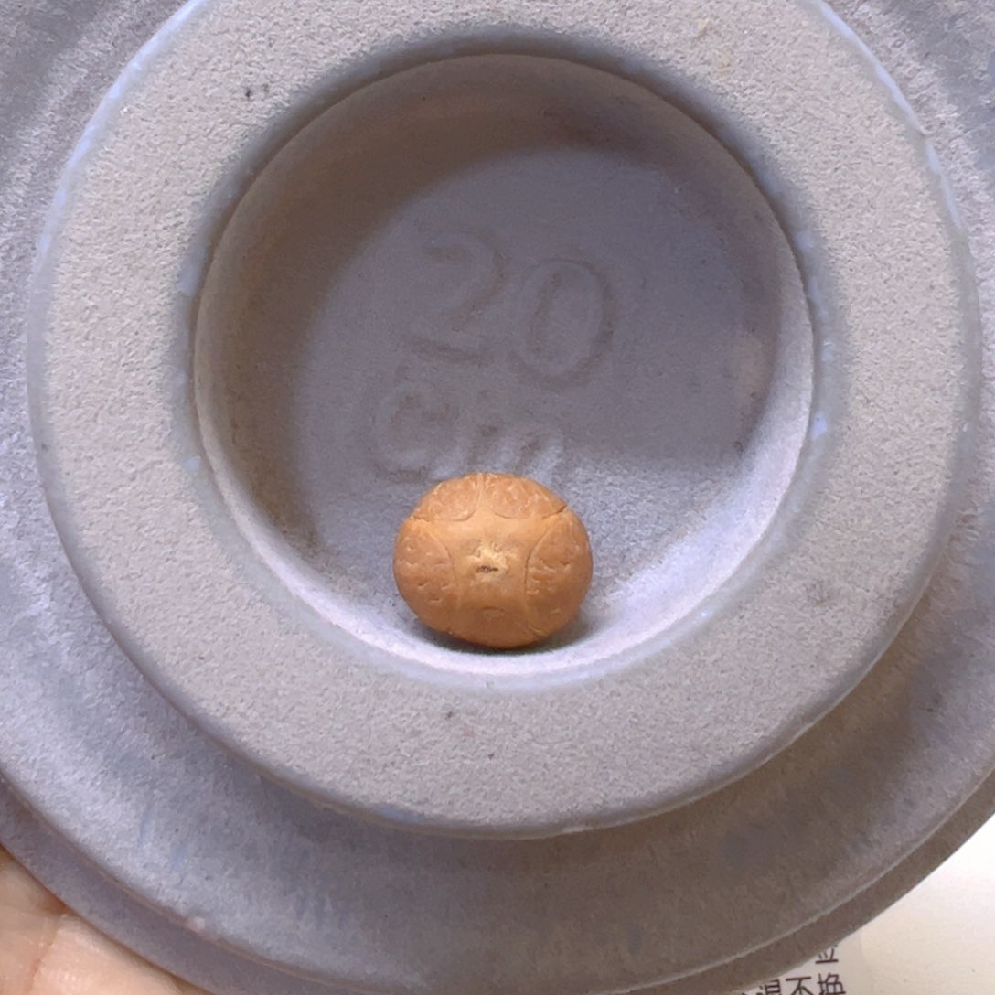 凤眼菩提手串14.5mm五星单颗0@5113