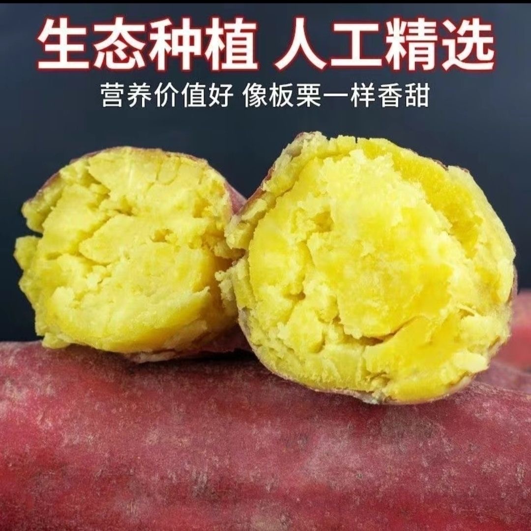 正宗板栗红薯新鲜现挖粉面香甜粗粮小番薯