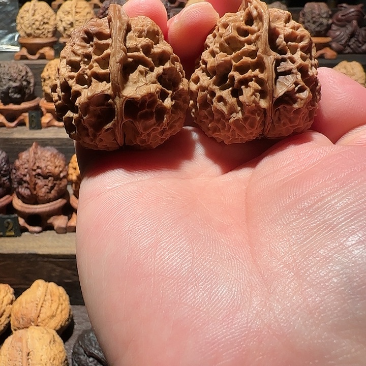 木质类经典名款三星堆40尺
