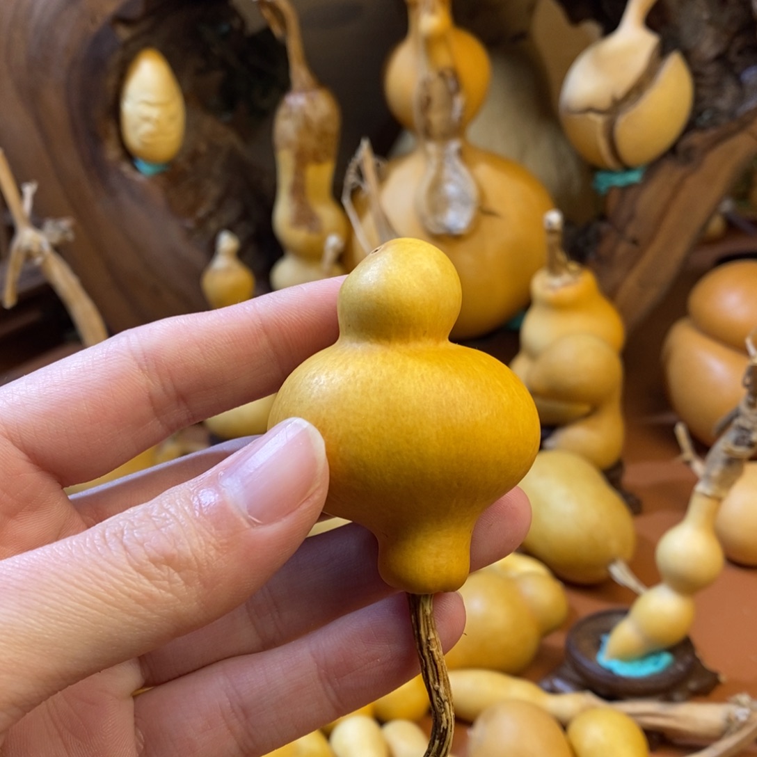 燕***飞教练教练咯哦哦哦哦咯