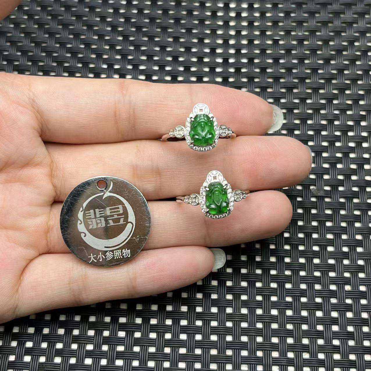 38397T28-3B04-天然A货翡翠戒指s925银镶-多样性发其一