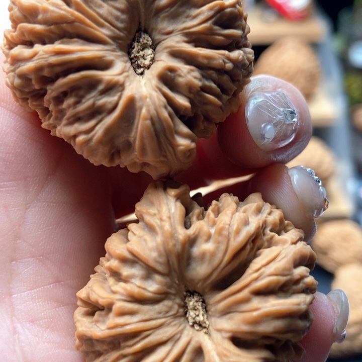 核桃手串/手链38全家福窝头全品老核