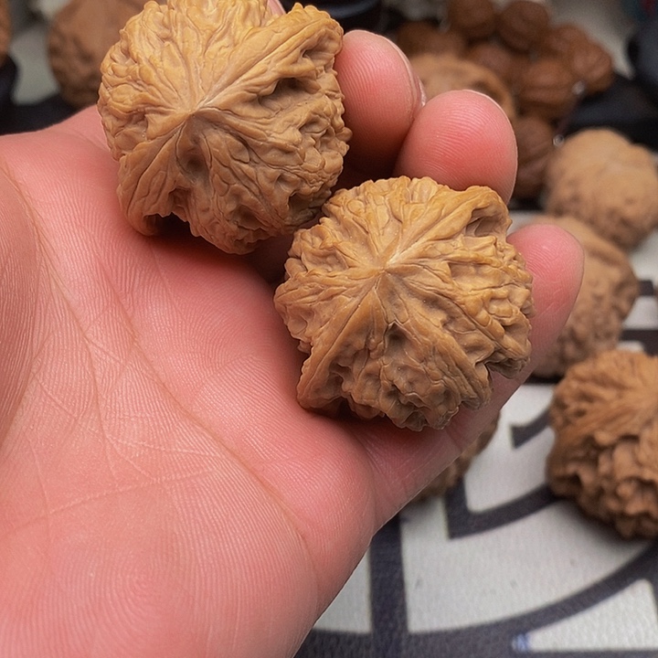 桃核把件野生狮子头