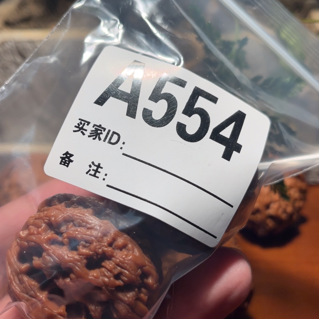 文玩核桃把件三****?111111111