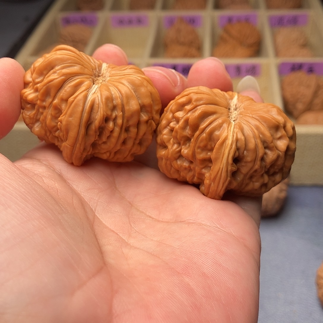 高***爸把件文玩核桃凹底楼