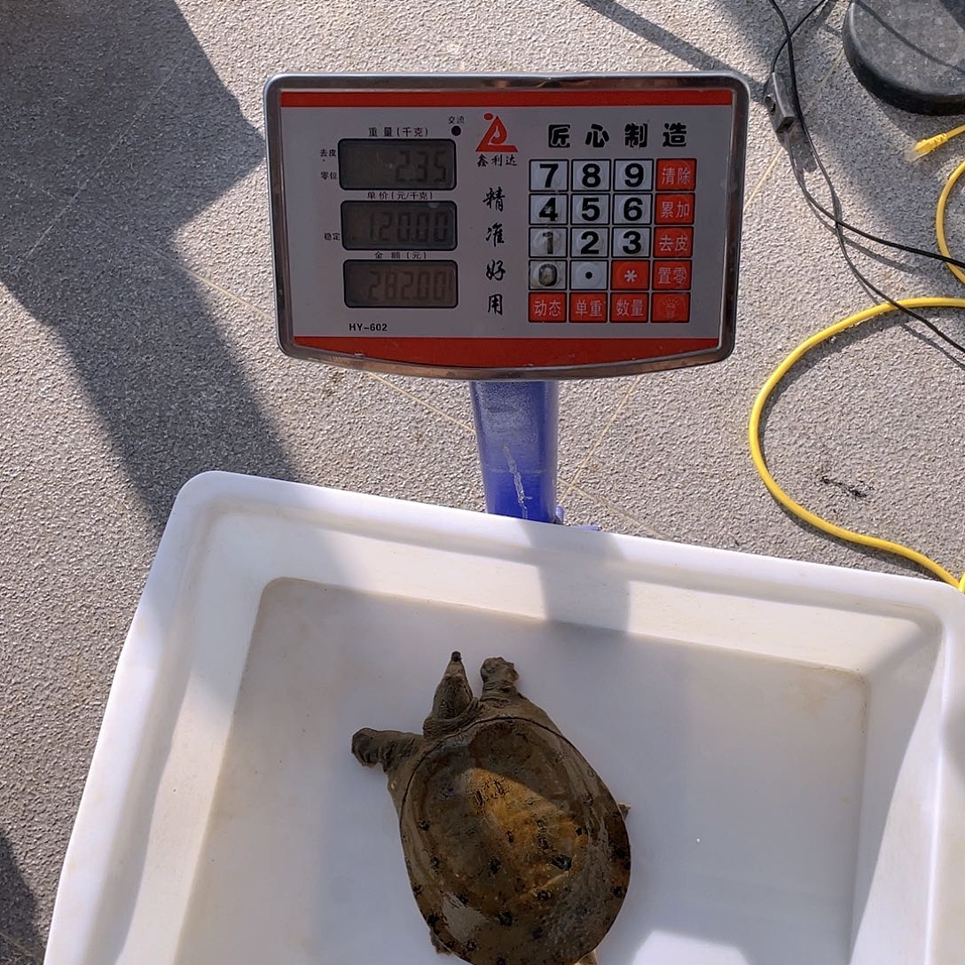 中国大陆467336743753663