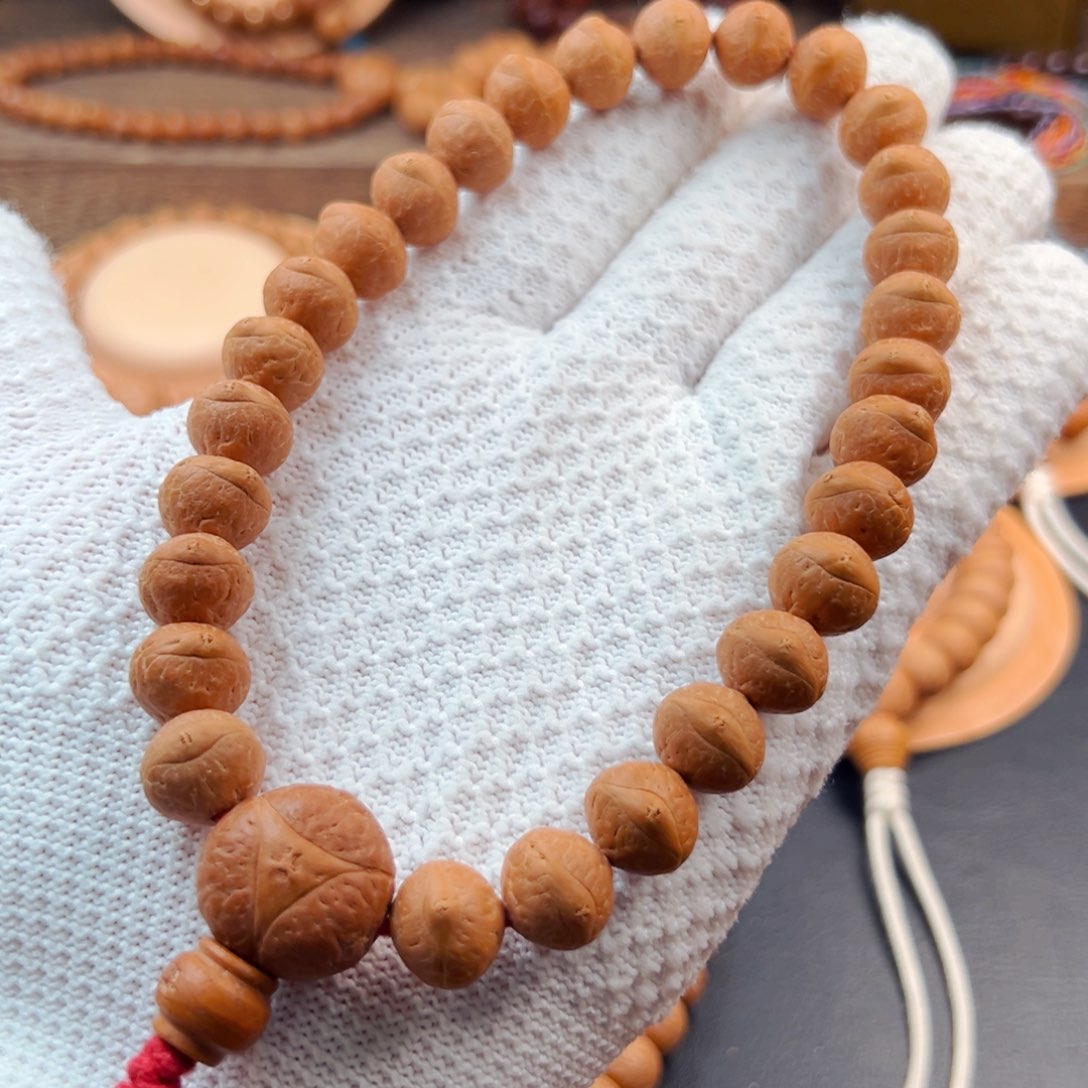 手串凤眼菩提李*照12mm单仓铁籽手持