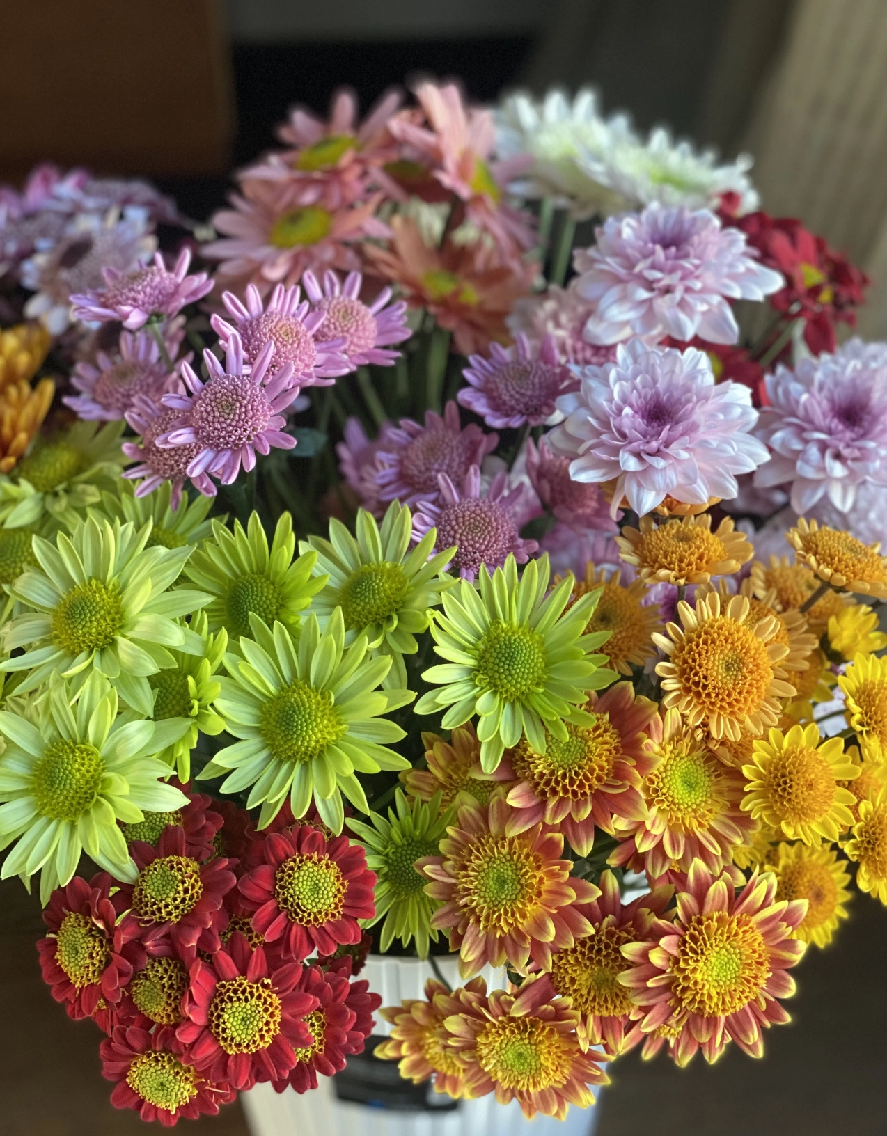 【混色小菊】超长花期（云南基地现采现发）