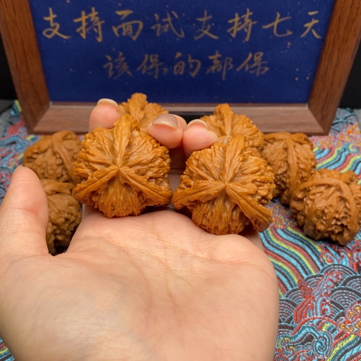 【闪购商品】驰***湖白狮