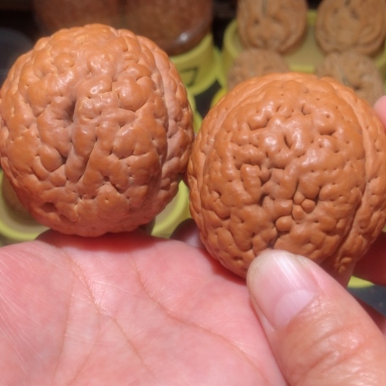 文玩核桃把件练手金刚菩提