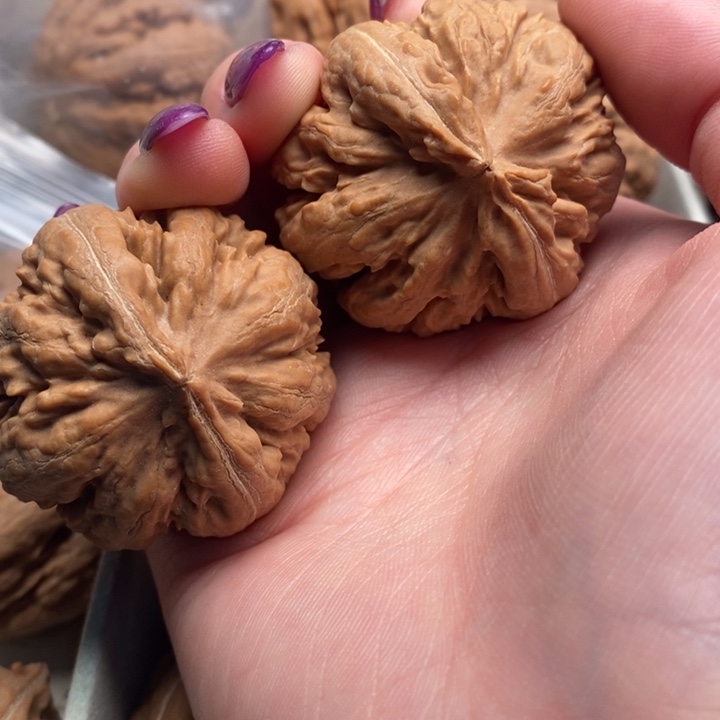 千***物手串文玩核桃霸王龙