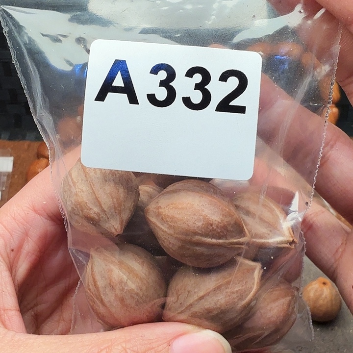 【***】手串/手链橄榄核橄榄