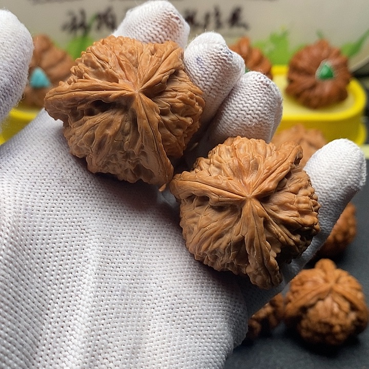 核桃40白狮子拼接精品