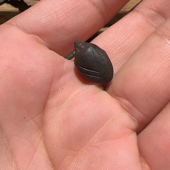 香榧木水**鱼在这里的时候