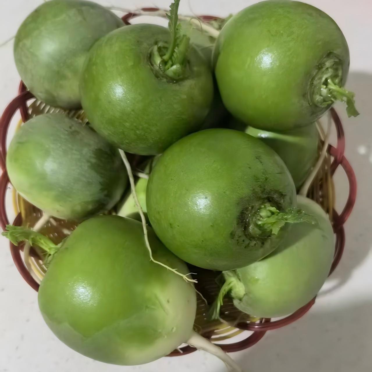 大田恋思萝卜【颍州西湖特产】清脆可口安徽阜阳产地直发