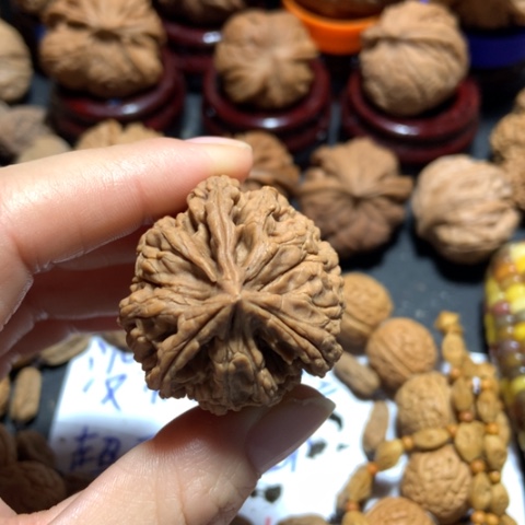 核桃?*三棱单只一个