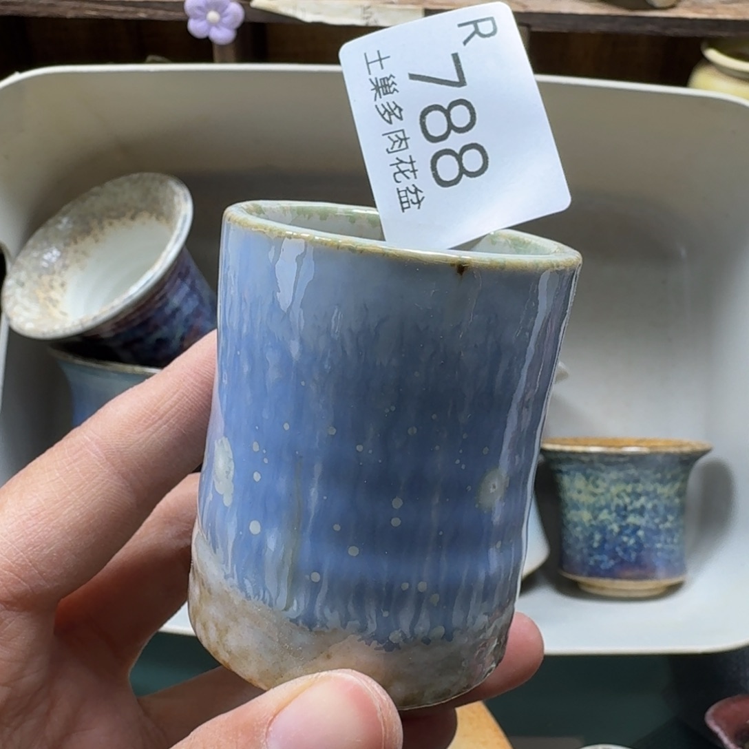 爱***虫陶瓷艺术品设计与制作