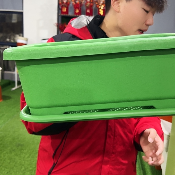 小菜盆长38宽28高15果绿色3只带托