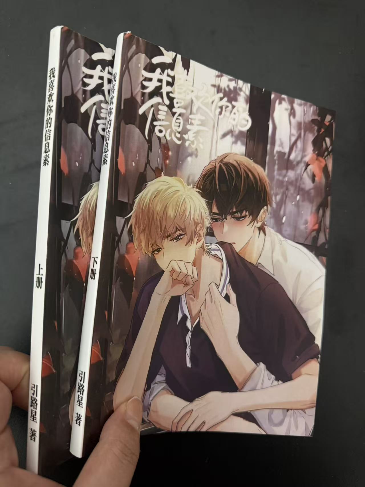 我喜欢你的信息素  实体书 未删减小说