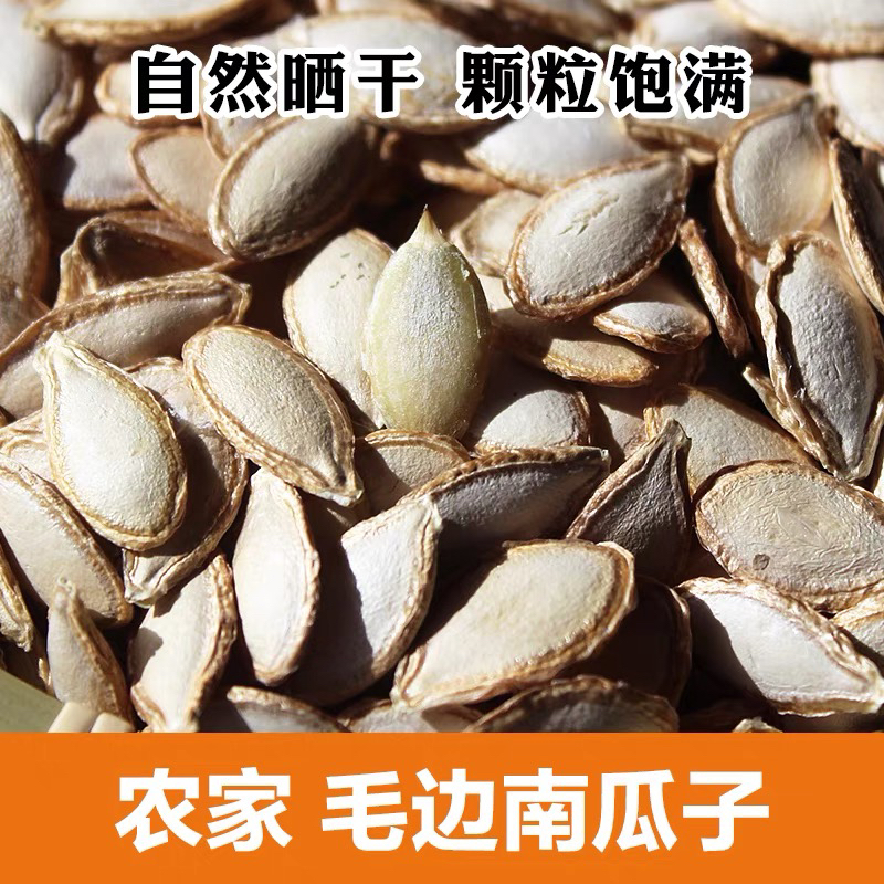 云南南华老品种大颗粒饱满毛边生南瓜子农家山货精选