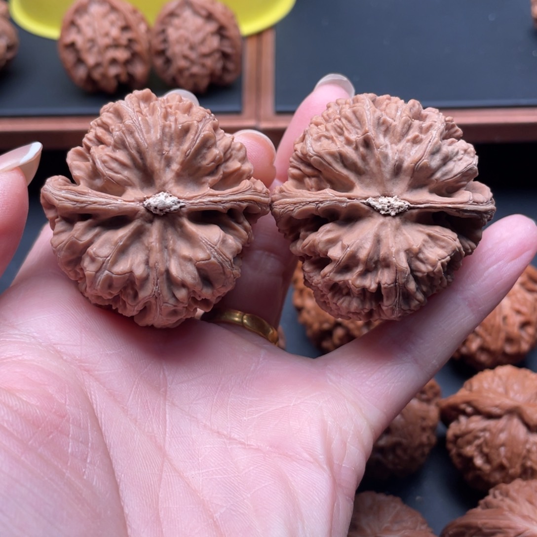 小***家文玩核桃把件粗筋43