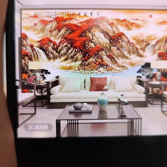 小***物客厅电视墙壁画壁布
