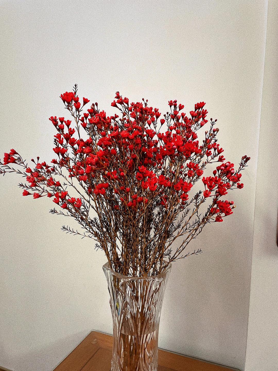 腊梅水培小众鲜切花 年宵花（顺丰斗南直发）