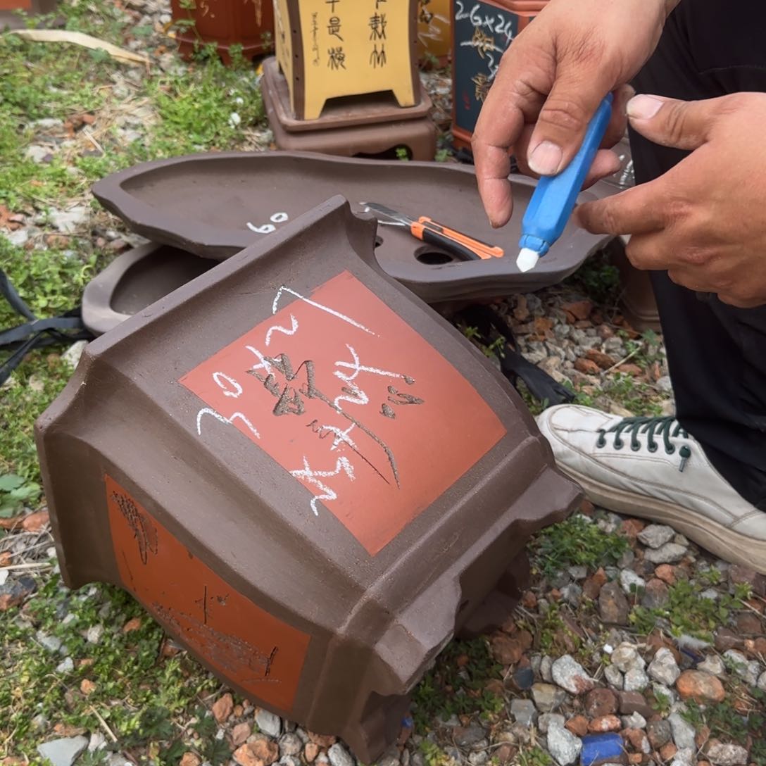 紫砂花盆花盆盆景盆栽